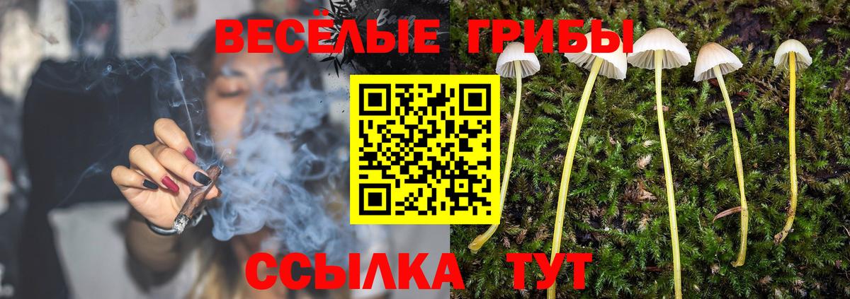 Богородск  Галлюциногенные грибы прущие грибы  Вход с VPN 